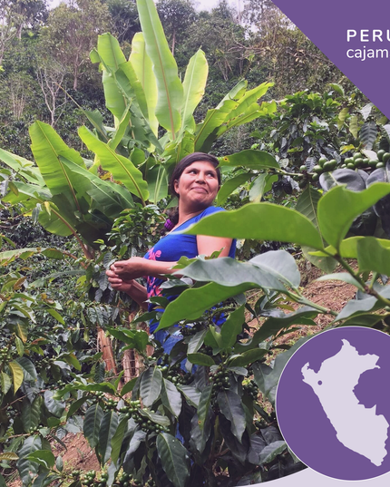 Specialty Peruvian Organic Coffee, Opaqa Dama de Los Andes