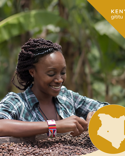 Kenya AA Premium Coffee - Opaqa Gititu Gold