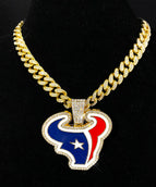 Golden-Houston Texans