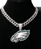 silvery-Philadelphia Eagles