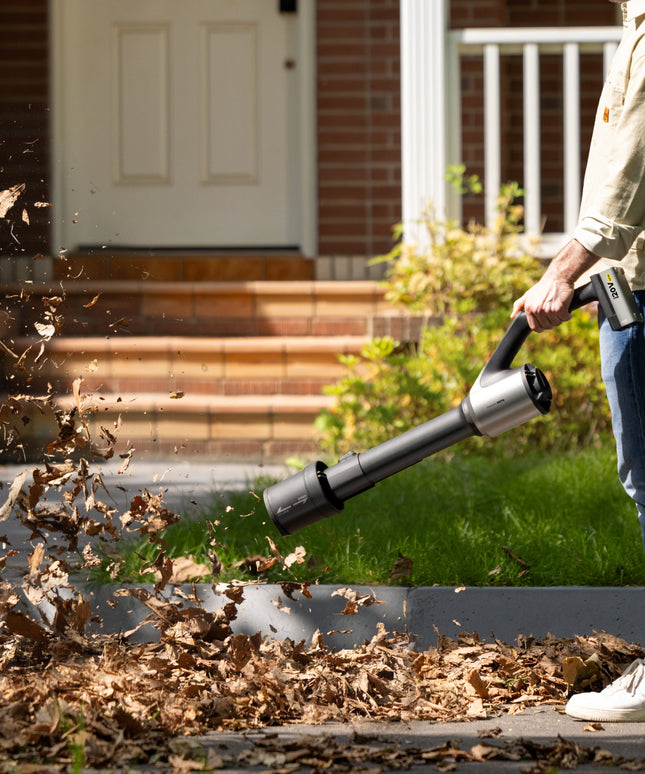 20V Cordless Leaf Blower