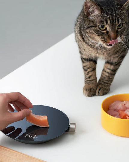 Smart Kitchen Scale