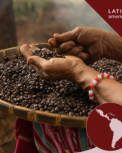 Cuban-Style Espresso Blend, Opaqa Havana Midnight