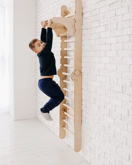 Gym Addition to the Climbing Ladders