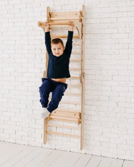 Gym Addition to the Climbing Ladders