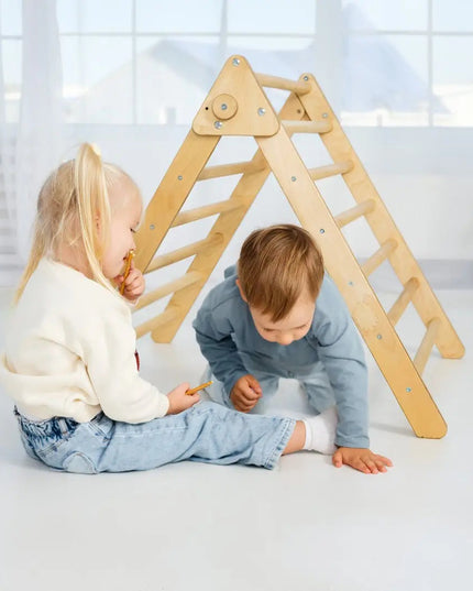 Indoor Montessori Triangle Climbing Ladder for Toddlers 1-7 y.o.