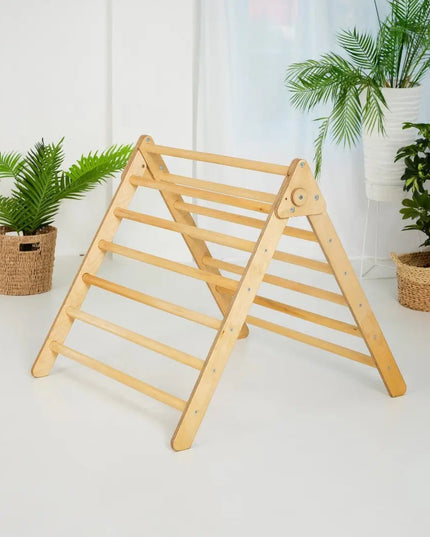 Indoor Montessori Triangle Climbing Ladder for Toddlers 1-7 y.o.