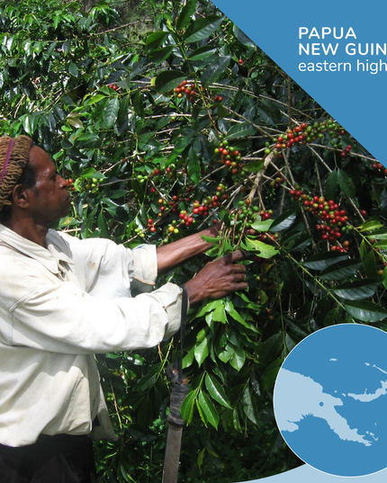 Papua New Guinea Organic Single-Origin Coffee, Opaqa Papua Perfection
